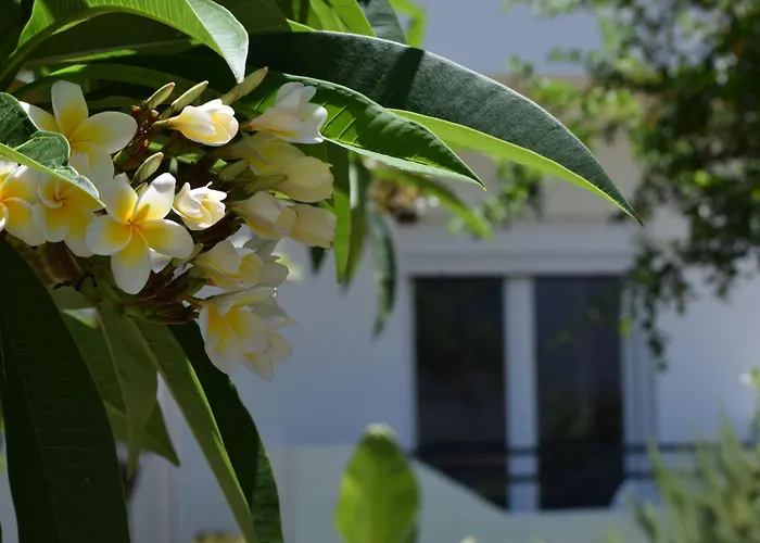 Icos 2 Appartement *